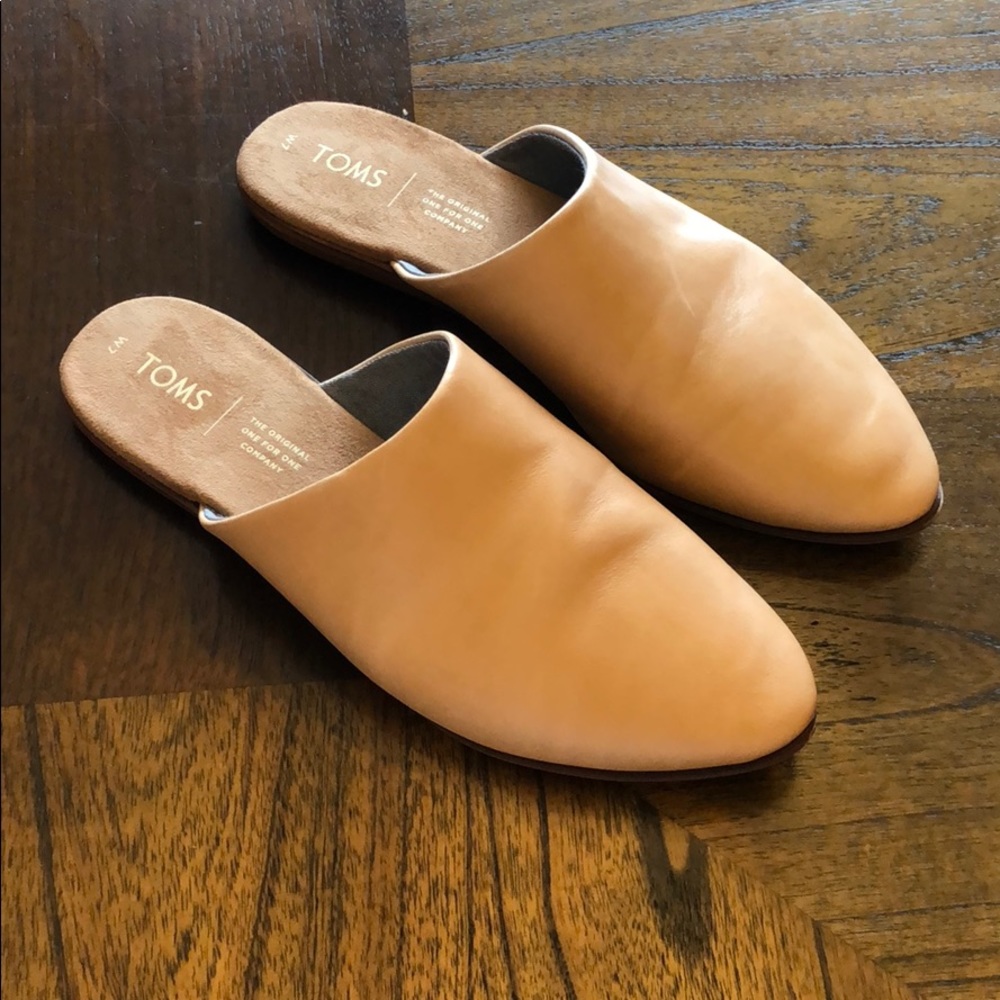 TOMS slides.